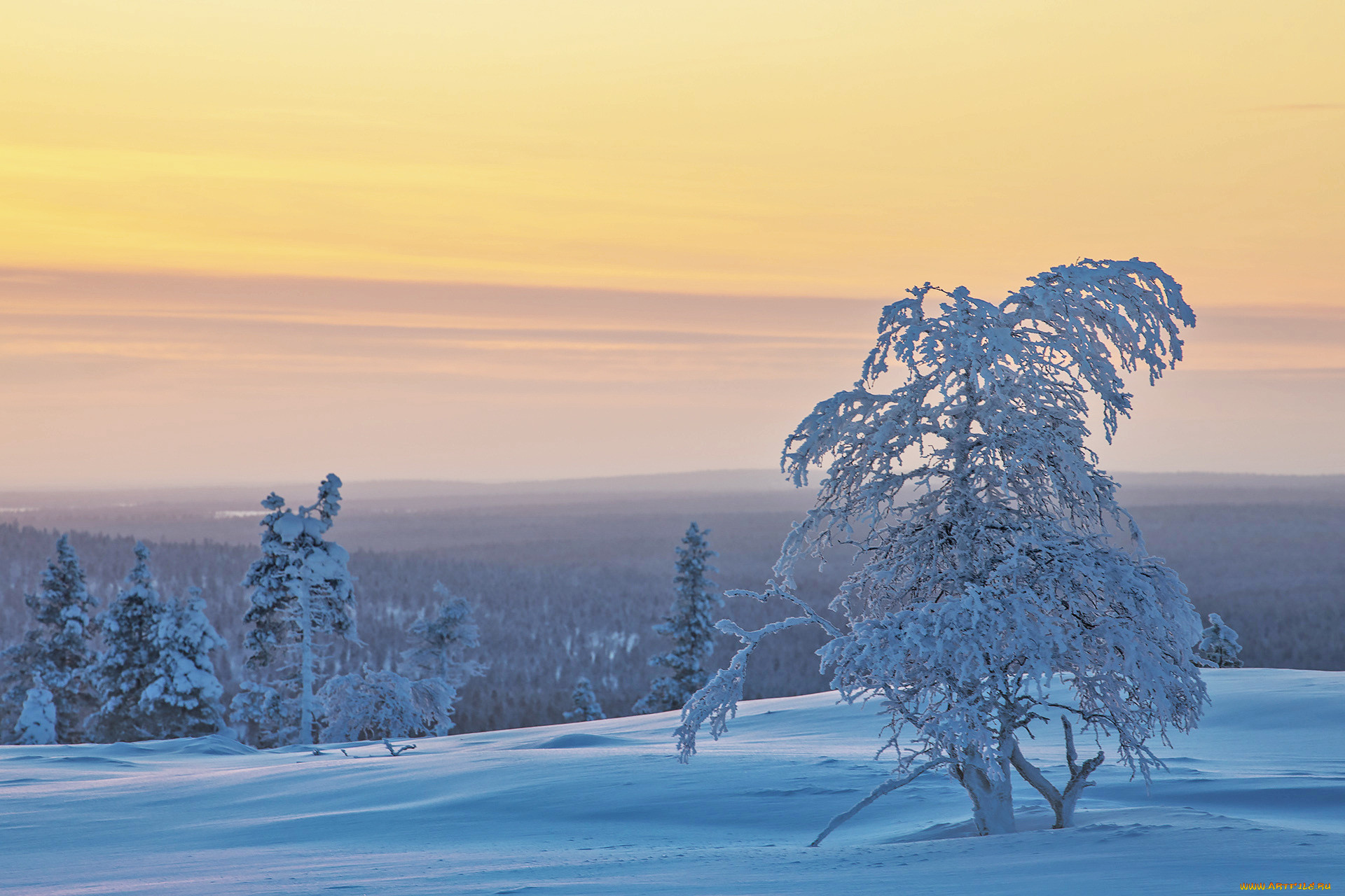 , , finland, lapland, , , , 